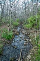 Stream flowing downhill in the forest photo