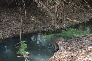 river water is black due to environmental pollution photo