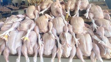 Freshly Dressed Chickens in wet marker photo