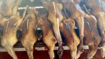 Roasted Ducks in wet market photo