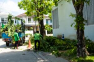 Blur background of a professional gardener pruning a tree and moving up the branches. photo