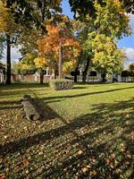 a park with a bench and trees in the fall photo