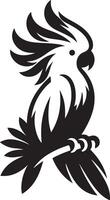 Black cockatoo sitting on a tree branch. vector