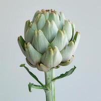 a large artichoke with a stem in the middle photo