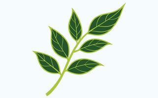 Green Leaf Minimalist abstract image vector