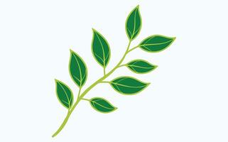 Green Leaf Minimalist abstract icon vector