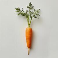 a single carrot is shown on a white surface photo
