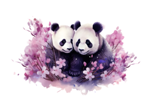 water color illustration of two panda png