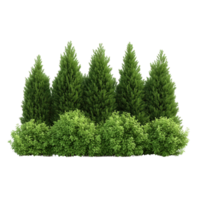 Green trees and shrubs, creating a lush and vibrant nature scene, perfect for landscaping or garden design. isolated on transparent background. png