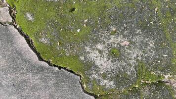concrete wall abstract background texture cement grey gray backdrop old. photo