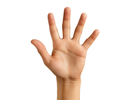 hand showing the number five by spreading all five fingers in a counting gesture on isolated background png