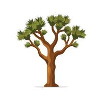 Joshua tree isolated flat illustration on white background vector