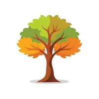 Maple tree isolated flat illustration on white background vector