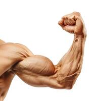 Strong man flexing biceps and showing muscles on white background photo