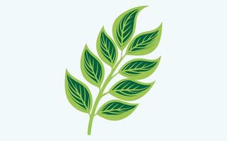Green Leaf Abstract Patterns image vector