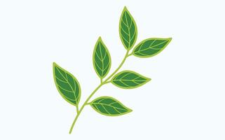 Green Leaf Abstract Patterns image clipart vector