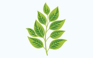 Green Leaf Abstract Patterns icon vector