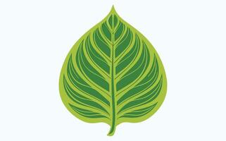 Green Leaf Abstract Patterns clipart image vector