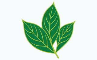 Green Leaf Abstract Patterns vector