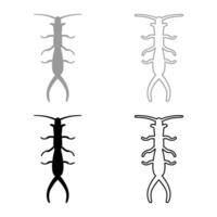 Earwig set icon grey black color illustration image solid fill outline contour line thin flat style vector