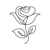 Continuous Line Drawing Of Rose Flowers Black Sketch Isolated on White Background. Flowers Rose One Line Illustration for Minimalist Design. vector