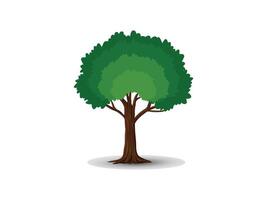 An isolated tree on white background vector