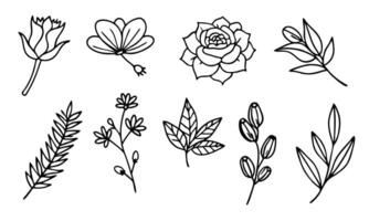 A set of black and white flowers and leaves vector