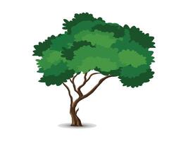 Realistic tree isolated on white background vector