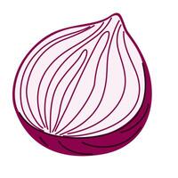 Hand drawn red onion , capturing the intricate layers of the vegetable in a simple style vector