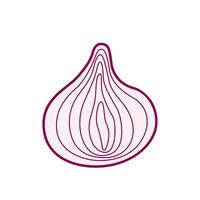 Red onion hand drawn , simple and stylized with elegant outlines and natural details vector