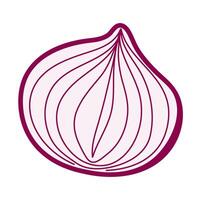 Stylized hand drawn red onion, image with soft lines and rich purple shades vector