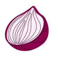 Hand drawn of a half red onion, showcasing natural lines and texture in purple hues vector