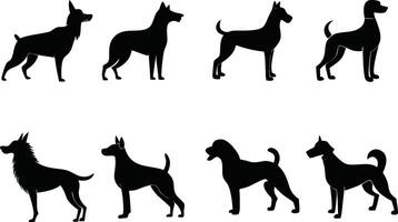 Set of Dog breeds silhouette in white background vector