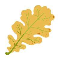 Autumn simple hand drawn oak tree leaf in colorful flat style. Simple doodle botanical sticker isolated on white background vector