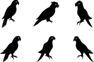 Set of Cute Parrot Birds Silhouette Artwork in a White Background vector