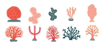 Various colorful coral reef elements collection with abstract shapes, branches, and fans vector