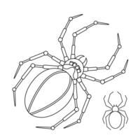 Set of 2 Spiders with editable stroke. Design template elements for Halloween design. Traditional and steampunk style. Spooky, scary, horror halloween decor. . vector