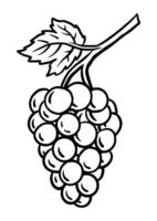 Coloring page outline of the grapes, illustration in cute line cartoon style suitable for kid vector