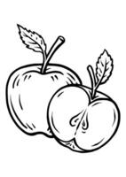 Coloring page outline of the apple illustration in cute line cartoon style suitable for kid vector