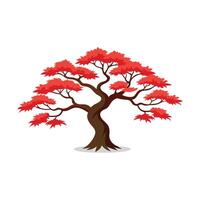 Japanese Maple tree isolated flat illustration on white background vector