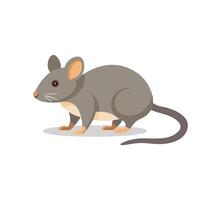 Mouse animal isolated flat illustration on white background vector