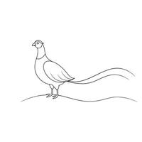 Pheasant bird continuous line art flat illustration on white background. vector