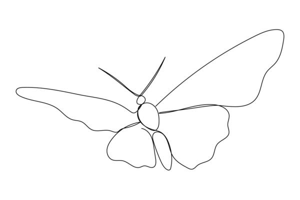 One line butterfly sketch. Single line hand drawn illustration. Summer symbol
