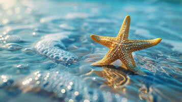 Glowing starfish on water surface. photo