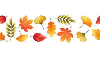 Seamless border with bright multi-colored autumn leaves. Maple, oak, birch, rowan, yellow, red orange leaf. Seamless pattern on white background for autumn designs, fabrics, textiles, wrapping paper vector
