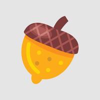 acorn nut in flat design vector
