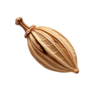 Cocoa pod isolated on transparent background, showcasing its unique shape and texture. png