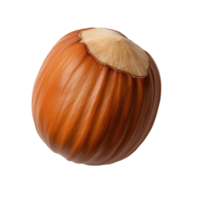 Hazelnut, brown color, isolated on transparent background, showcasing details and texture. png