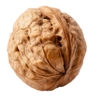 Close-up of a walnut, showcasing detailed texture and natural color isolated on transparent background. png