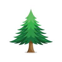 Norway Spruce tree isolated flat illustration on white background vector